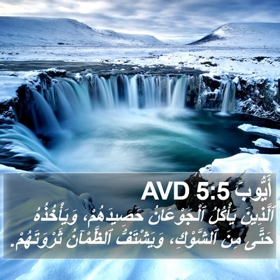 أَيُّوبَ 5:5 AVD Bible Verse Image