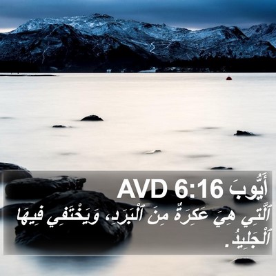 أَيُّوبَ 6:16 AVD Bible Verse Image