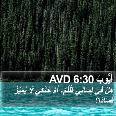 أَيُّوبَ 6:30 AVD Bible Verse Image