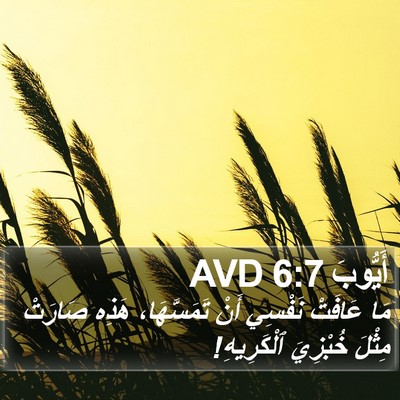 أَيُّوبَ 6:7 AVD Bible Verse Image