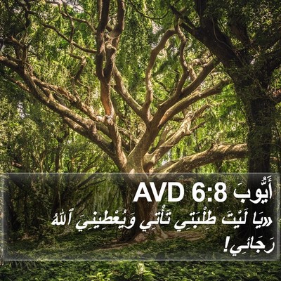 أَيُّوبَ 6:8 AVD Bible Verse Image