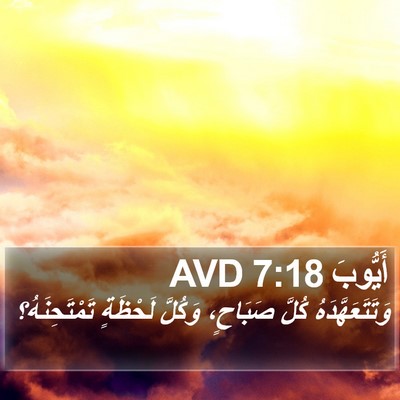 أَيُّوبَ 7:18 AVD Bible Verse Image
