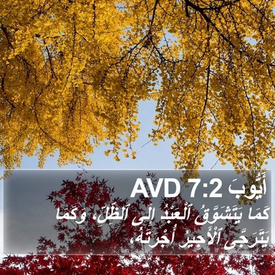 أَيُّوبَ 7:2 AVD Bible Verse Image