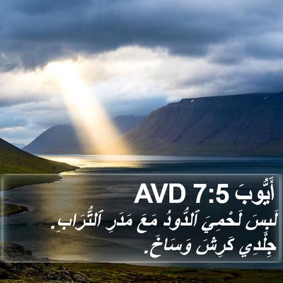 أَيُّوبَ 7:5 AVD Bible Verse Image