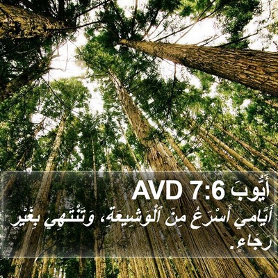 أَيُّوبَ 7:6 AVD Bible Verse Image
