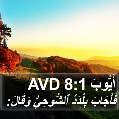 أَيُّوبَ 8:1 AVD Bible Verse Image