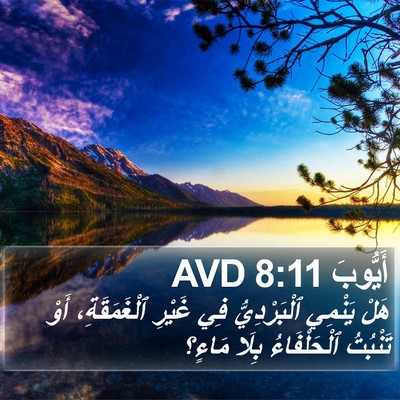 أَيُّوبَ 8:11 AVD Bible Verse Image