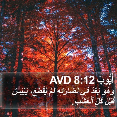 أَيُّوبَ 8:12 AVD Bible Verse Image