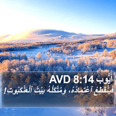 أَيُّوبَ 8:14 AVD Bible Verse Image