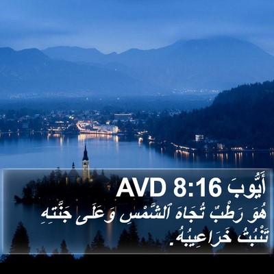 أَيُّوبَ 8:16 AVD Bible Verse Image