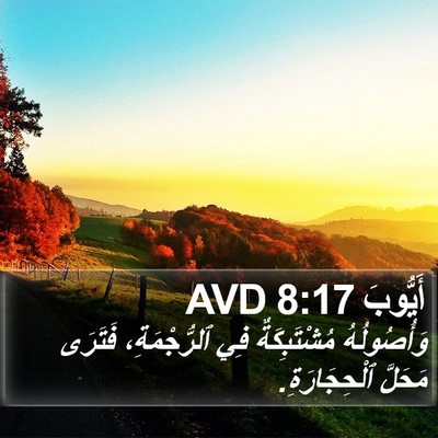 أَيُّوبَ 8:17 AVD Bible Verse Image