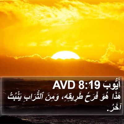 أَيُّوبَ 8:19 AVD Bible Verse Image