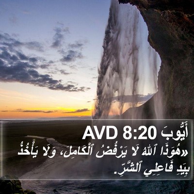 أَيُّوبَ 8:20 AVD Bible Verse Image
