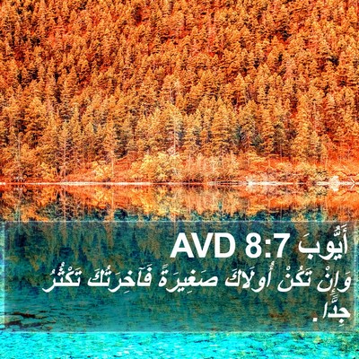 أَيُّوبَ 8:7 AVD Bible Verse Image