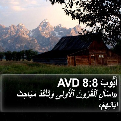 أَيُّوبَ 8:8 AVD Bible Verse Image