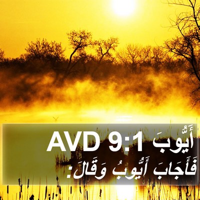 أَيُّوبَ 9:1 AVD Bible Verse Image