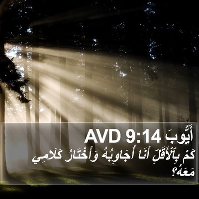 أَيُّوبَ 9:14 AVD Bible Verse Image