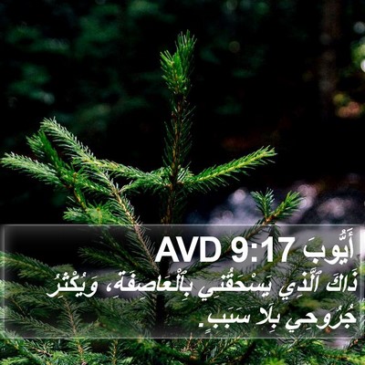 أَيُّوبَ 9:17 AVD Bible Verse Image