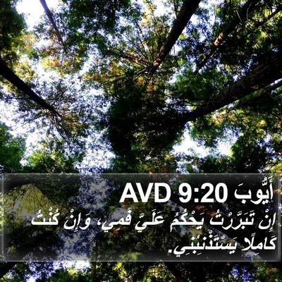 أَيُّوبَ 9:20 AVD Bible Verse Image