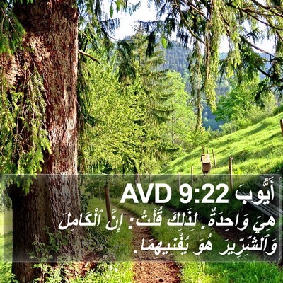 أَيُّوبَ 9:22 AVD Bible Verse Image