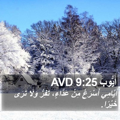 أَيُّوبَ 9:25 AVD Bible Verse Image