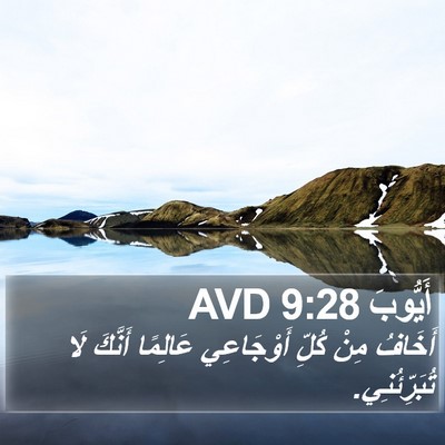 أَيُّوبَ 9:28 AVD Bible Verse Image