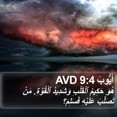 أَيُّوبَ 9:4 AVD Bible Verse Image
