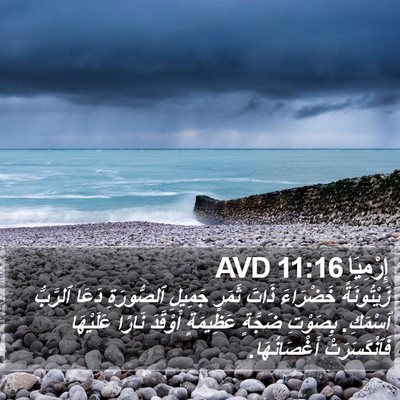 إِرْمِيَا 11:16 AVD Bible Verse Image