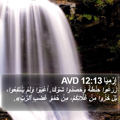 إِرْمِيَا 12:13 AVD Bible Verse Image