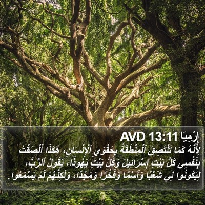 إِرْمِيَا 13:11 AVD Bible Verse Image