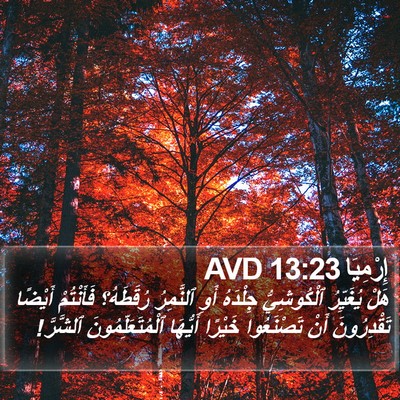 إِرْمِيَا 13:23 AVD Bible Verse Image