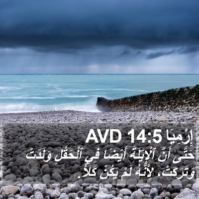 إِرْمِيَا 14:5 AVD Bible Verse Image