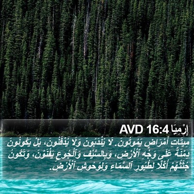 إِرْمِيَا 16:4 AVD Bible Verse Image