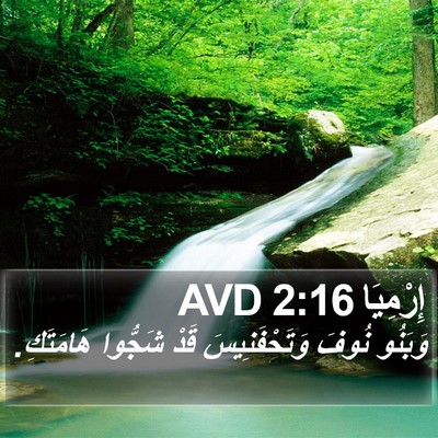 إِرْمِيَا 2:16 AVD Bible Verse Image