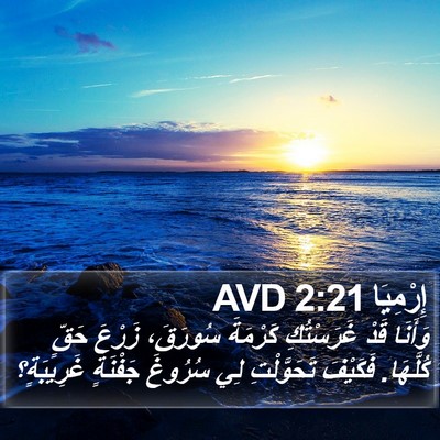 إِرْمِيَا 2:21 AVD Bible Verse Image