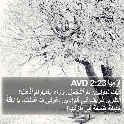 إِرْمِيَا 2:23 AVD Bible Verse Image
