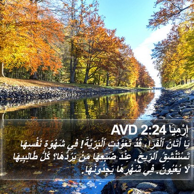 إِرْمِيَا 2:24 AVD Bible Verse Image