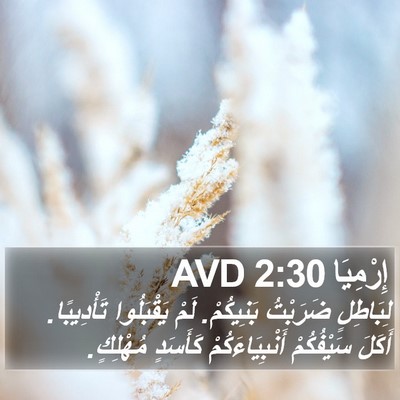 إِرْمِيَا 2:30 AVD Bible Verse Image