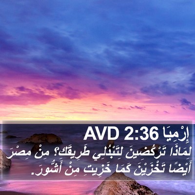إِرْمِيَا 2:36 AVD Bible Verse Image