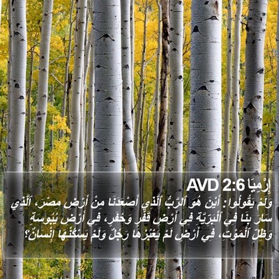 إِرْمِيَا 2:6 AVD Bible Verse Image
