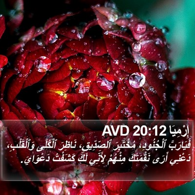 إِرْمِيَا 20:12 AVD Bible Verse Image