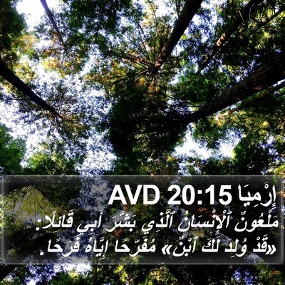 إِرْمِيَا 20:15 AVD Bible Verse Image