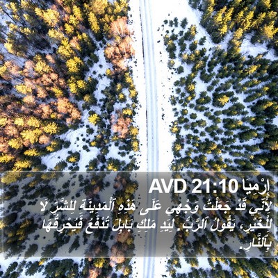 إِرْمِيَا 21:10 AVD Bible Verse Image