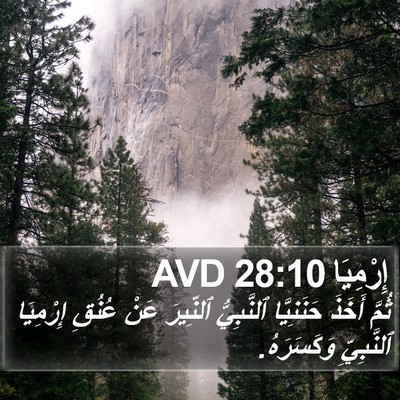 إِرْمِيَا 28:10 AVD Bible Verse Image