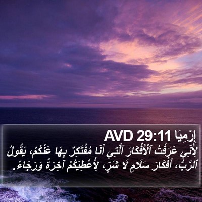 إِرْمِيَا 29:11 AVD Bible Verse Image