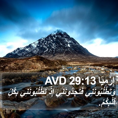 إِرْمِيَا 29:13 AVD Bible Verse Image