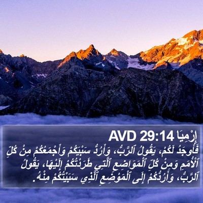 إِرْمِيَا 29:14 AVD Bible Verse Image
