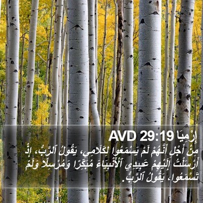 إِرْمِيَا 29:19 AVD Bible Verse Image