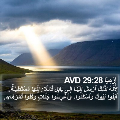 إِرْمِيَا 29:28 AVD Bible Verse Image