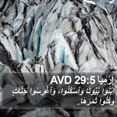 إِرْمِيَا 29:5 AVD Bible Verse Image